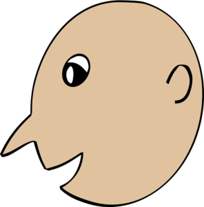 Greffe de cheveux