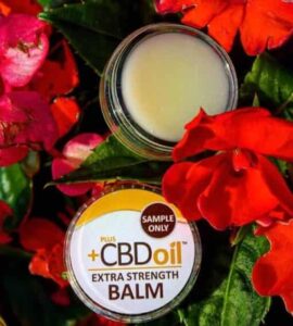 CBD krém