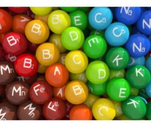 táplálékkiegészítő webshop