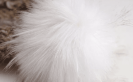 pompom