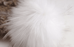 pompom