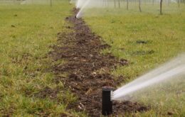 Automata öntözőrendszer telepítés: Megbízható kertgondozási megoldások