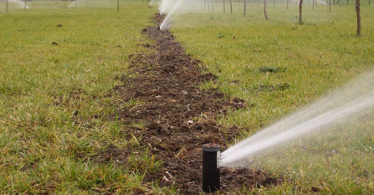 Automata öntözőrendszer telepítés: Megbízható kertgondozási megoldások